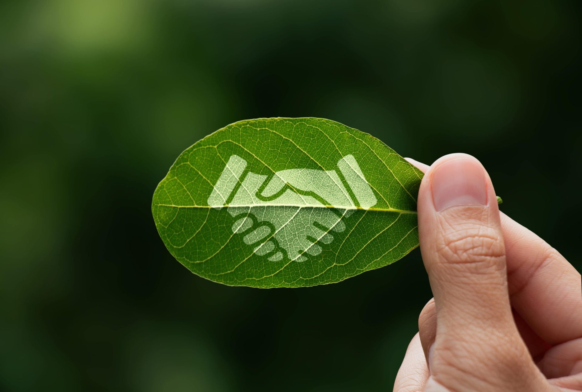 Co2 Image